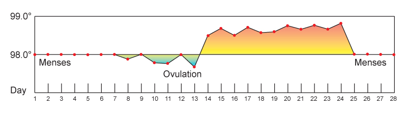 18.1.2 Basal Body Temperature