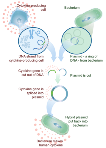 Genetic engineering in medicine