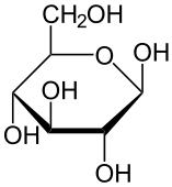 Image shows a glucose molecule. The molecule contains 6 carbons fused into a ring with several hydroxide groups.