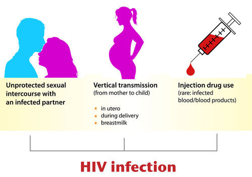 17.6.7 HIV Transmission