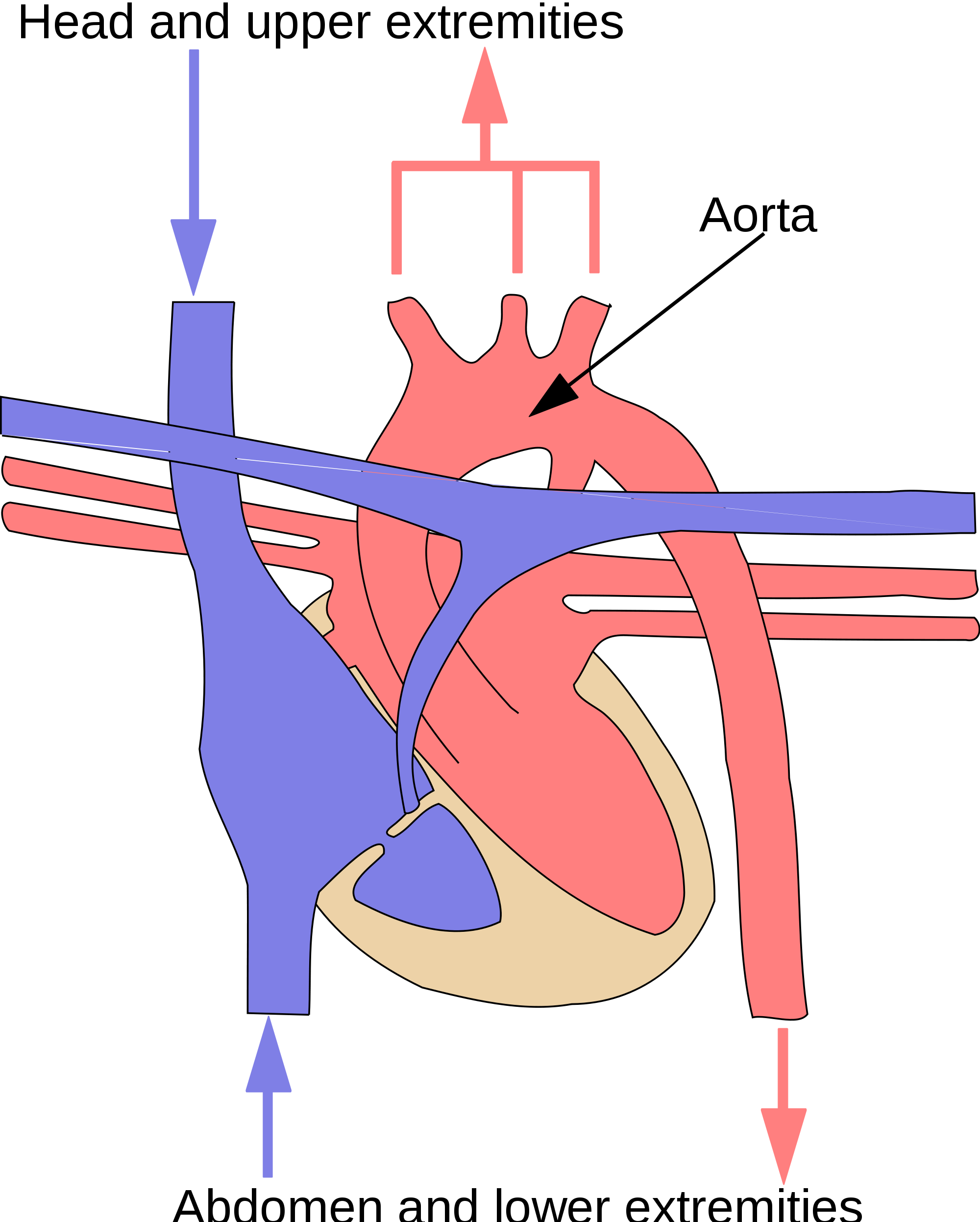 14.2.8 System Circuit