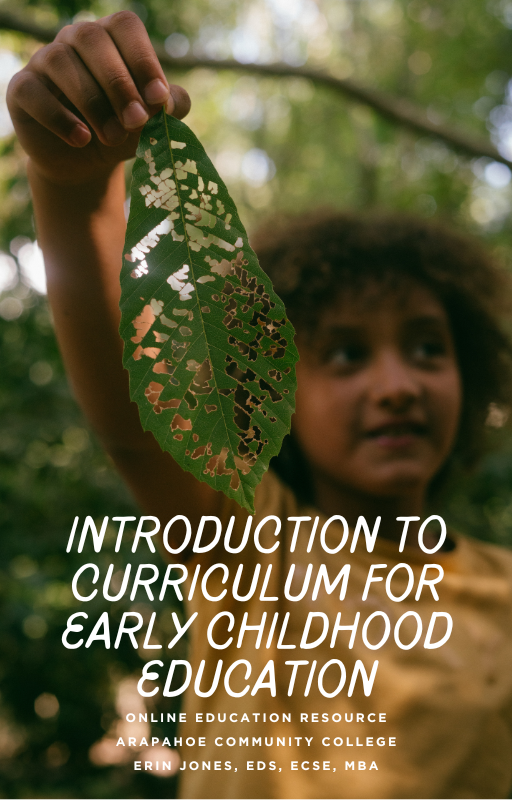 Cover image for Introduction to Curriculum for Early Childhood Education