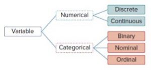 Exhibit 1.7 Types of Data Management.