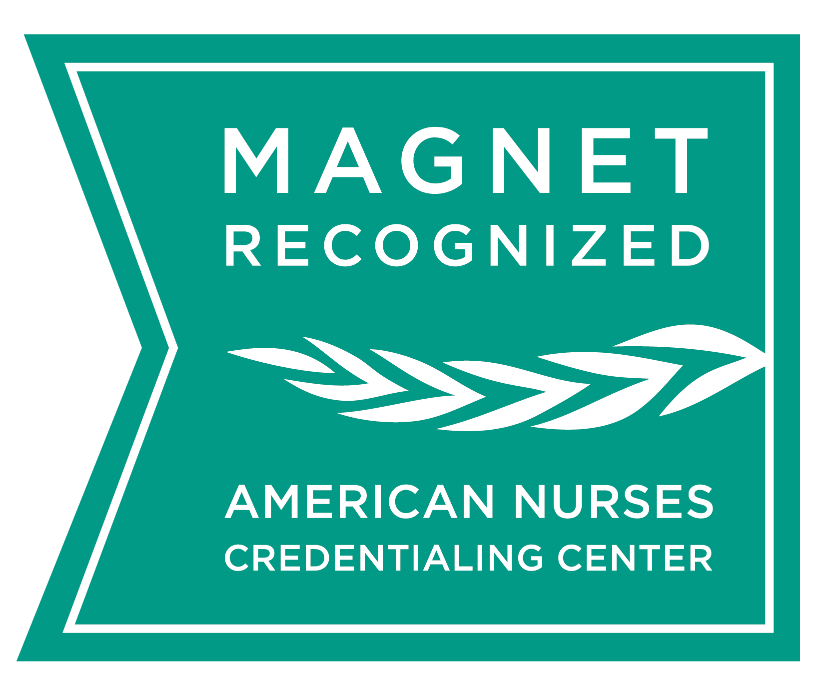 “Magnet_Recognition_Logo_CMYK_-png-.png” by Mattmitchell37 is licensed under CC BY-SA 4.0 Image showing credential logo for magnet recognized