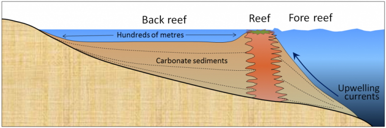 6.2 Chemical Sedimentary Rocks — Physical Geology – 2nd Edition – ACC ...
