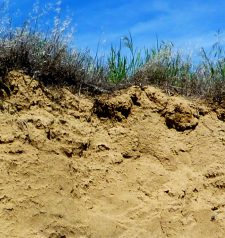 5.4 Weathering and the Formation of Soil — Physical Geology – 2nd ...