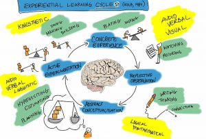 Kolb's Experiential Learning cycle includes: concrete experience, reflective observation, abstract conceptualization and active experimentation.