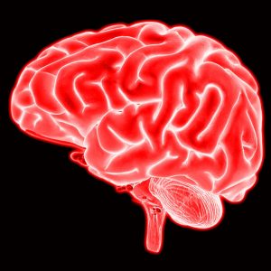 Cartoon of brain
