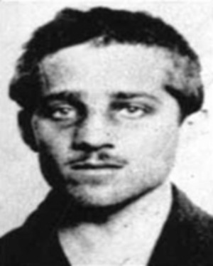 Gavrilo Princip