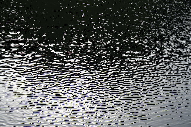 Small capillary waves or ripples caused by winds blowing over the surface of calm water