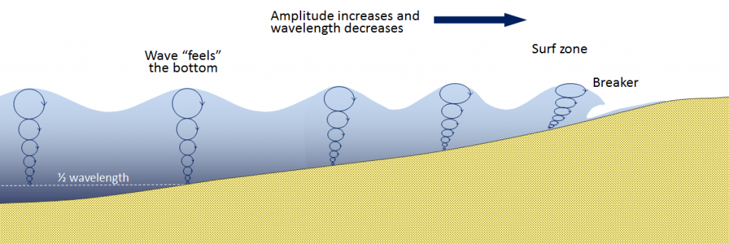 Illustration of as waves approach shore they "touch bottom" when the depth equals half of the wavelength, and the wave begins to slow down. As is slows, the wavelength decreases and the wave height increases, until the wave breaks