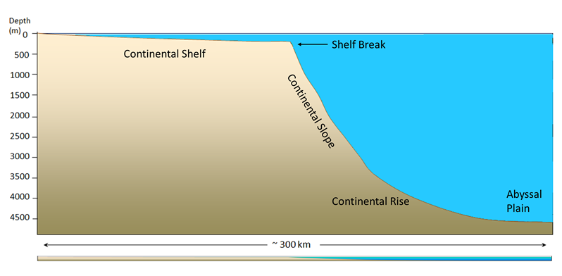 Features of a passive continental margin, including the continental shelf, the shelf break, the continental slope, the continental rise, and the abyssal plain.