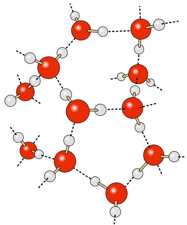 Hydrogen bonds (dashed lines) between water molecules. Oxygen atoms are shown in red, hydrogen atoms in white