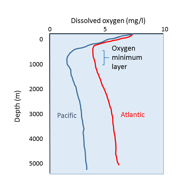Representative dissolved oxygen profiles for the Pacific and Atlantic oceans. X-axis is depth (m) and the Y-axis is dissolved oxygen (mg/l). The Atlantic showcases higher amounts of dissolved oxygen.