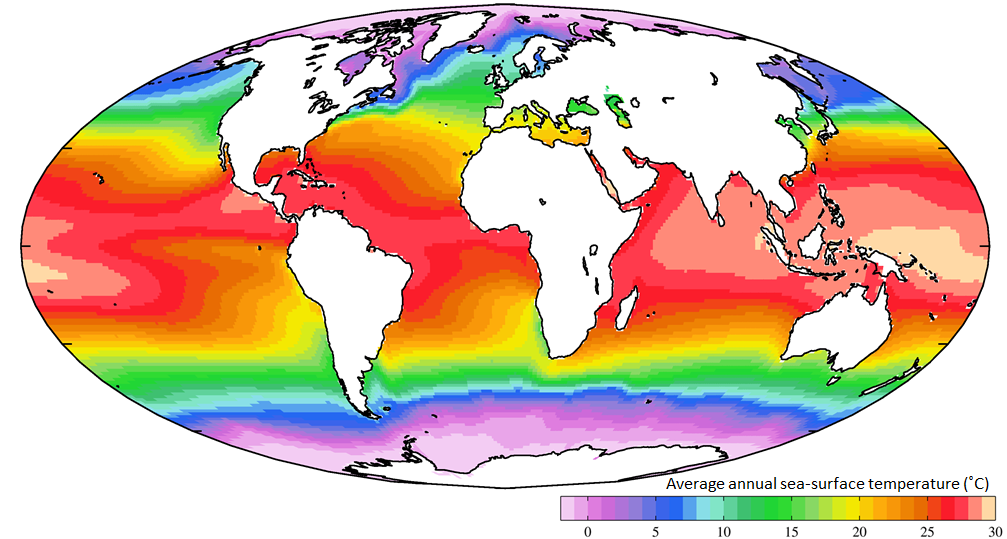 Global average annual sea surface temperature in degrees Celsius