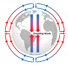 8.2 Winds and the Coriolis Effect – PPSC GEY 1155 Introduction to ...
