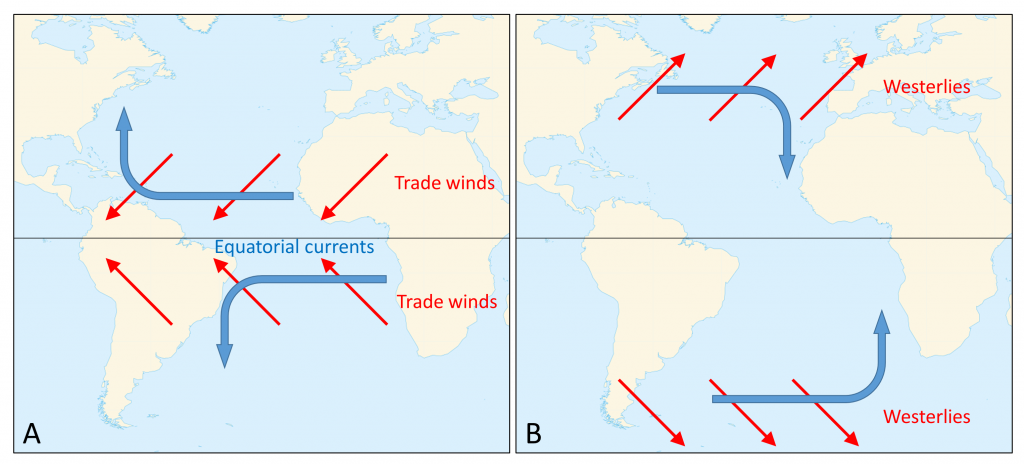 Generalized surface currents in the Atlantic Ocean. A) Surface water moving at 45 degrees relative to the trade winds create the westward flowing equatorial currents. B) Between 30-60 degrees latitude, the westerlies form eastward flowing surface currents.
