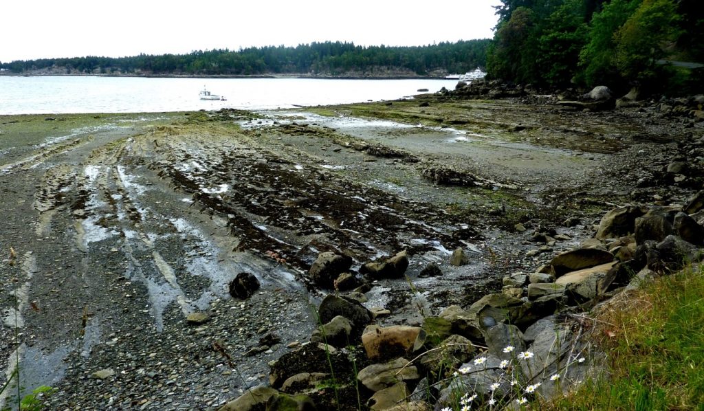 Image of a wave-cut platform in bedded sedimentary rock on Gabriola Island, B.C. The wave-eroded surface is submerged at high tide