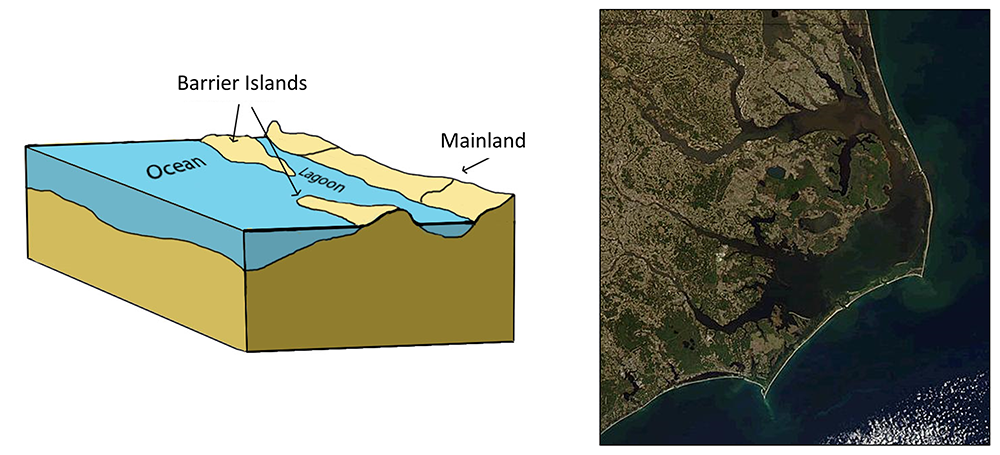 Illustration and image of a bar-built estuary. Sand bars and barrier islands have partially isolated a lagoon from the rest of the ocean. Freshwater input into the lagoon from the mainland creates brackish conditions in the estuary. At right is a satellite image of Pamlico Sound, North Carolina, a bar-built estuary surrounded by spits and barrier islands