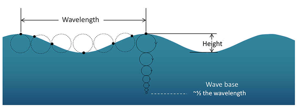 Orbital motion of water within a wave, extending down to the wave base at a depth of half of the wavelength