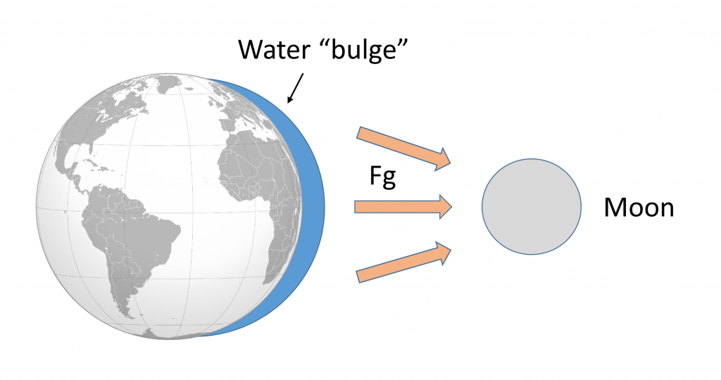 Illustration of a water bulge. Gravitational forces between the Earth and moon cause a bulge of water to appear on the side of the Earth facing the moon