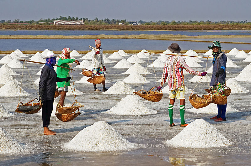 Photograph of salt farmers harvesting salt left behind from the evaporation of seawater, Pak Thale, Ban Laem, Phetchaburi, Thailand