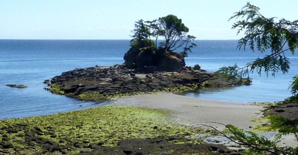 Image. A stack (with a wave-cut platform) connected to the mainland by a tombolo, Leboeuf Bay, Gabriola Island, British Columbia.