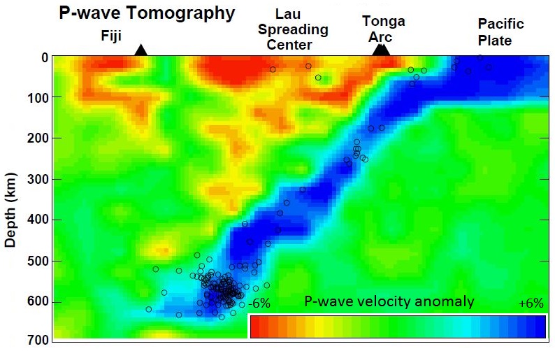 Seismic tomography image showing the Pacific Plate (blue) subducting beneath Tonga