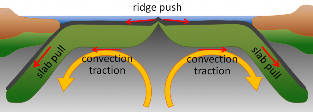 Models for plate motion mechanisms. In the illustration, plates move through a combination of pull from the weight of the subducting edge of the plates, and through the outward pushing of an ocean ridge where magma is rising and forming new crust.