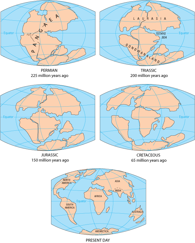 Movement of the continents over the past 225 million years. Five illustrations depict the Permian Period (top left), the Triassic Period (top right), the Jurassic Period (middle left), the Cretaceous Period (middle right), and the present day (bottom).