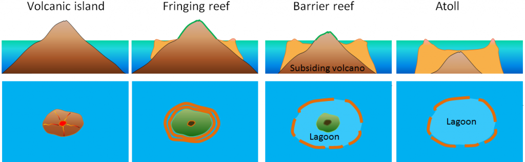 Steps in the development of coral reefs: volcanic island, fringing reef, barrier reef, and atoll.