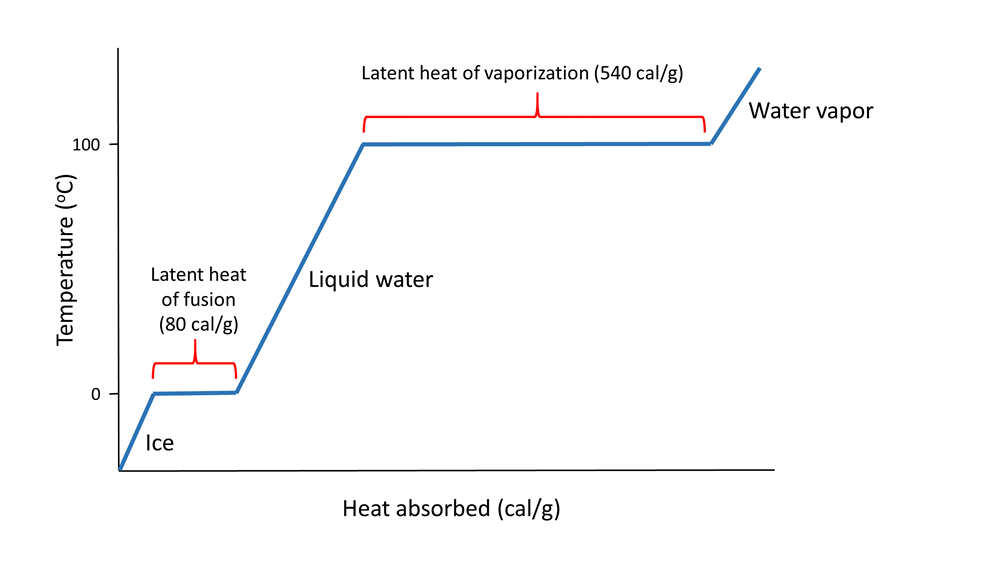 Latent heat required for phase changes in water. Latent heat of fusion is the heat required to melt ice (80 cal/g), and latent heat of vaporization is the heat required to turn liquid water into water vapor (540 cal/g)