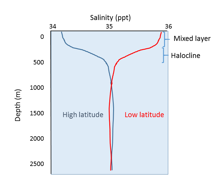 Salinity profiles from two hypothetical sites in the open ocean, one from high latitude and one from low latitude