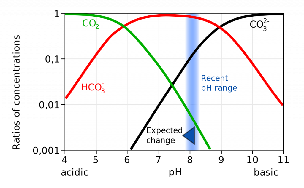 A graph of Proportions of carbon compounds in the ocean at various pH levels. X-axis is the PH scale, and the Y-axis represents the ratios of concentrations. As the ocean pH declines, the proportion of carbonate ions also declines, reducing rates of shell formation