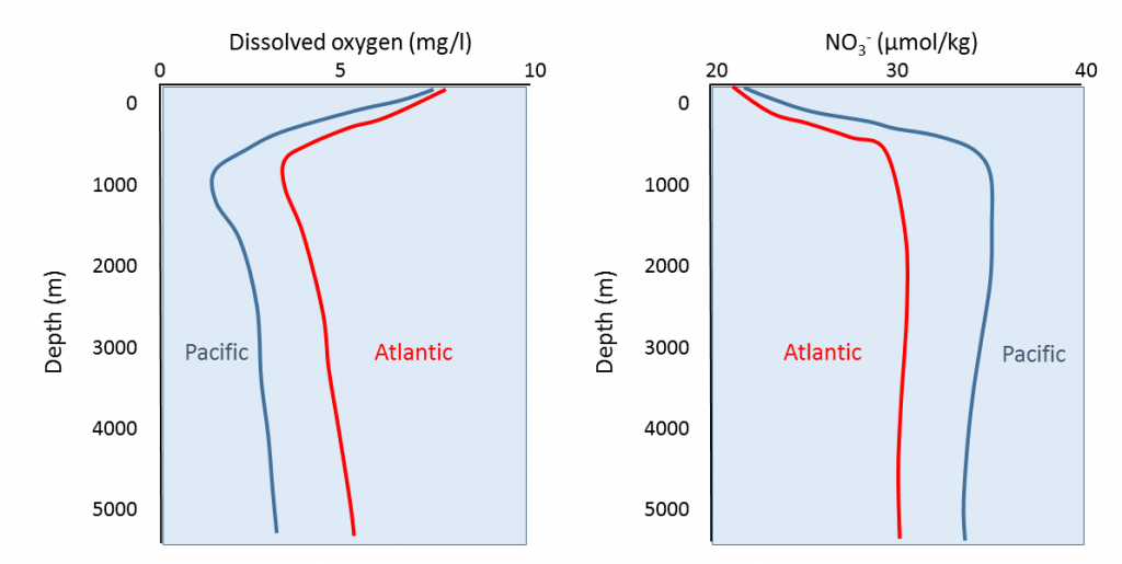 Dissolved oxygen (left) and nutrient (right) profiles for the Pacific and Atlantic Oceans. As water circulates from the Atlantic to the Pacific, oxygen is consumed while nutrients accumulate. Depth in meters from 0 to 5,000 is the X-axis, and the Y-axis in the lest chart is dissolved oxygen in mg/l and the Y-axis for the chart on the right is nitrates.