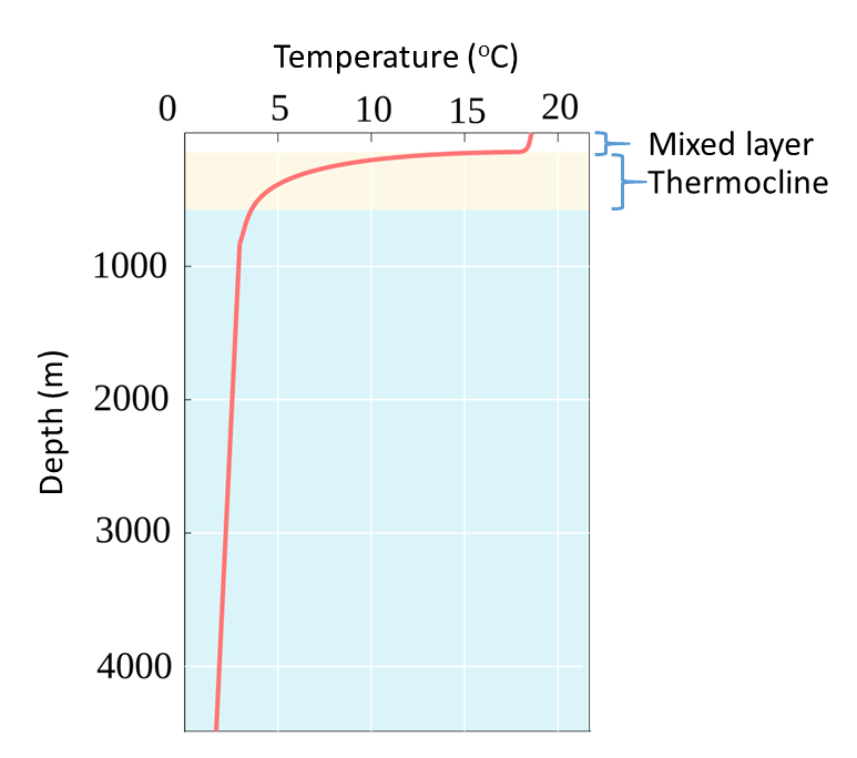 Typical open ocean temperature profile for a mid-latitude region, showing the mixed layer, steep thermocline, and relatively stable temperature at depth; the y-axis represents depth from 0 to 4,000 meters and t x-axis represents degrees in Celsius  from 0 to 20.