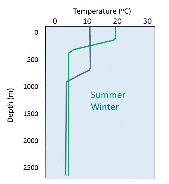 In temperate regions, the mixed layer is deeper and the thermocline less pronounced in the winter compared to the summer. The y-axis represents depth in meters from 0 to 2500 and the x-axis represents degrees in Celsius from 0 to 30.