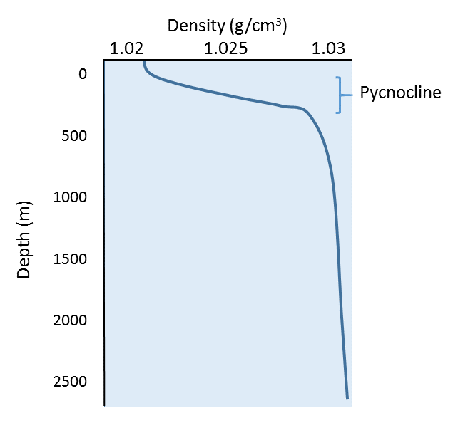 Representative density profile for the open ocean at mid-latitudes. The warm surface water causes a decrease in surface density; x-axis represents density in grams per centimeters cubed, and the y-axis represents depth in meters.