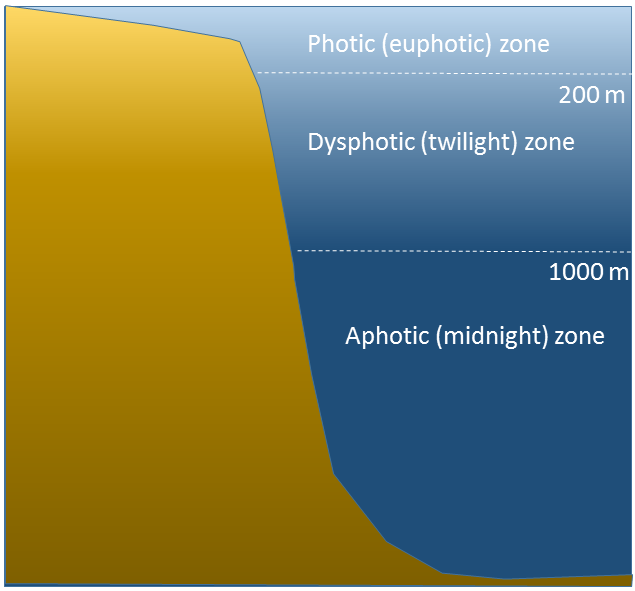 The zones of the water column as defined by the amount of light penetration: photic (euphotic) zone 0-200 meters, dysphotic (twilight) zone 200 - 1000 meters, and the aphotic (midnight) zone 1000 meters and deeper