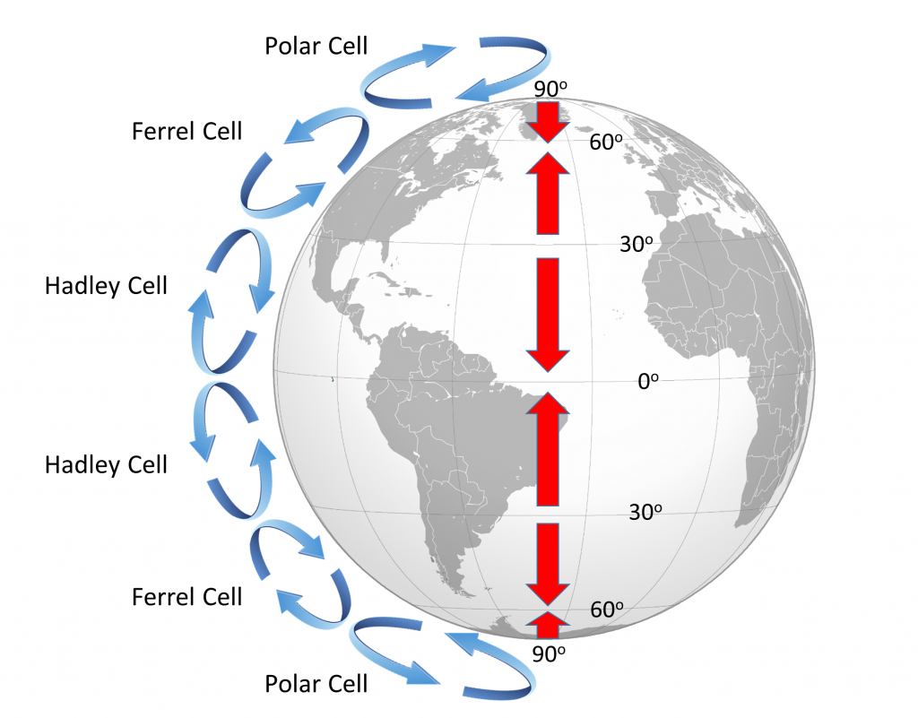 On a rotating Earth, there are three atmospheric convection cells in each hemisphere, leading to alternating bands of surface winds (red arrows).