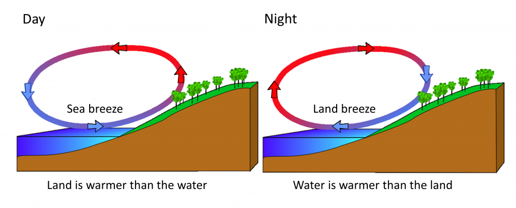 Land heats and cools faster than the ocean, so during the day the land is warmer than the water leading to rising air over land and a sea breeze. At night, the ocean is warmer than the land, creating a land breeze.