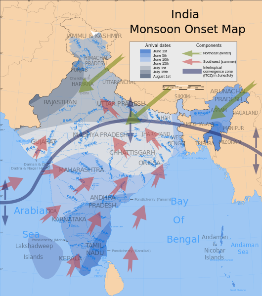 Seasonal wind patterns and monsoons over India. In summer, moist air from the ocean moves over the continent and rises, creating rain and the summer monsoons (pink arrows). In winter, winds are blowing from land to the sea, leading to the dry season (green arrows).