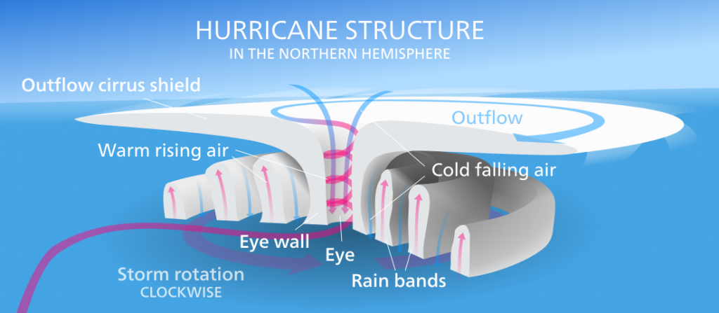 Illustration of a hurricane structure. Air rising in the center of the hurricane is replaced by warm air moving inwards, and the Coriolis Effect deflects the winds, causing the storm to rotate. In the eye, the extreme low pressure causes cool, dry air to sink, creating calm, clear conditions within the eye.