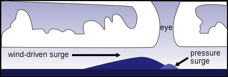 Illustration. Storm surges are created by hurricanes and move with the storm, causing a rapid rise in sea level when they reach shore. Pressure surges are due to the low pressure within the hurricane's eye, wind-driven surges are a product of high winds piling up water.