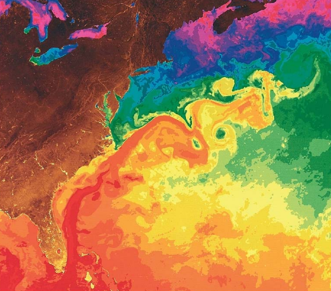 Sea surface temperature map illustrating the Gulf Stream. Warmer water is shown in red, colder water in blue and violet. Meanders and eddies are visible where the current moves towards the northeast.