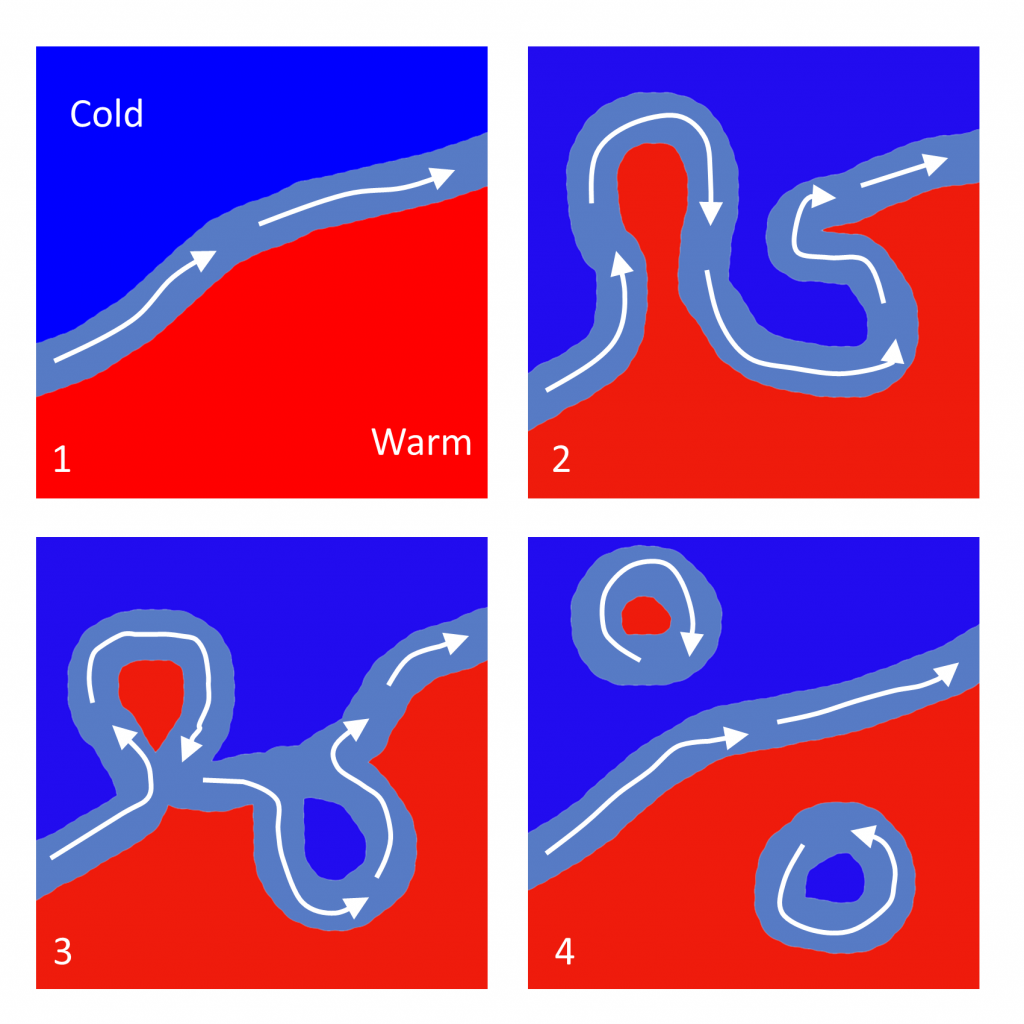 Formation of warm and cold core rings from meanders in the Gulf Stream. As the Gulf Stream flows to the northeast (1), it starts to meander as it slows, forming warm or cold water extensions on either side of the current (2). If the meanders pinch off the extensions, they trap pockets of warm or cold water (3), that can separate from the Gulf Stream and travel north or south. Warm core rings rotate clockwise, while cold core rings rotate counterclockwise (4)