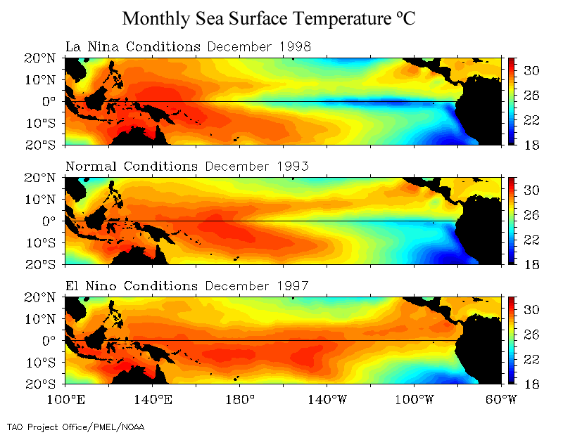 Comparison of mean December sea surface temperatures in the equatorial Pacific during La Niña (top), normal (middle), and El Niño (bottom) conditions