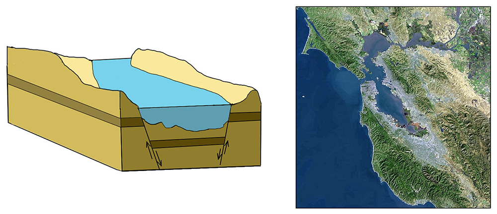 Illustration and image of a tectonic estuary, formed from the subsidence of crust along fault lines, and the subsequent filling by seawater. San Francisco Bay is a tectonic estuary, shown at right