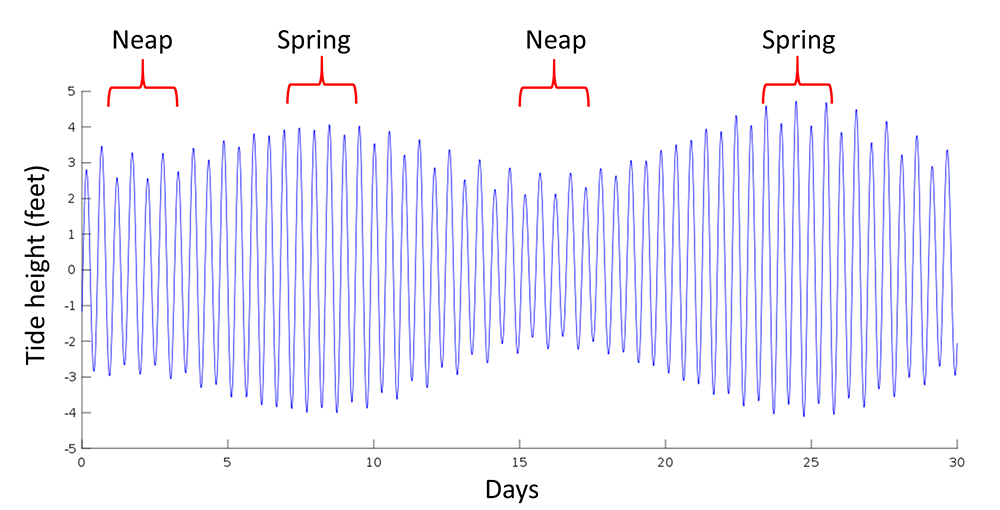 30 days of tidal data from Bridgeport, CT, USA, showing spring and neap tidal ranges