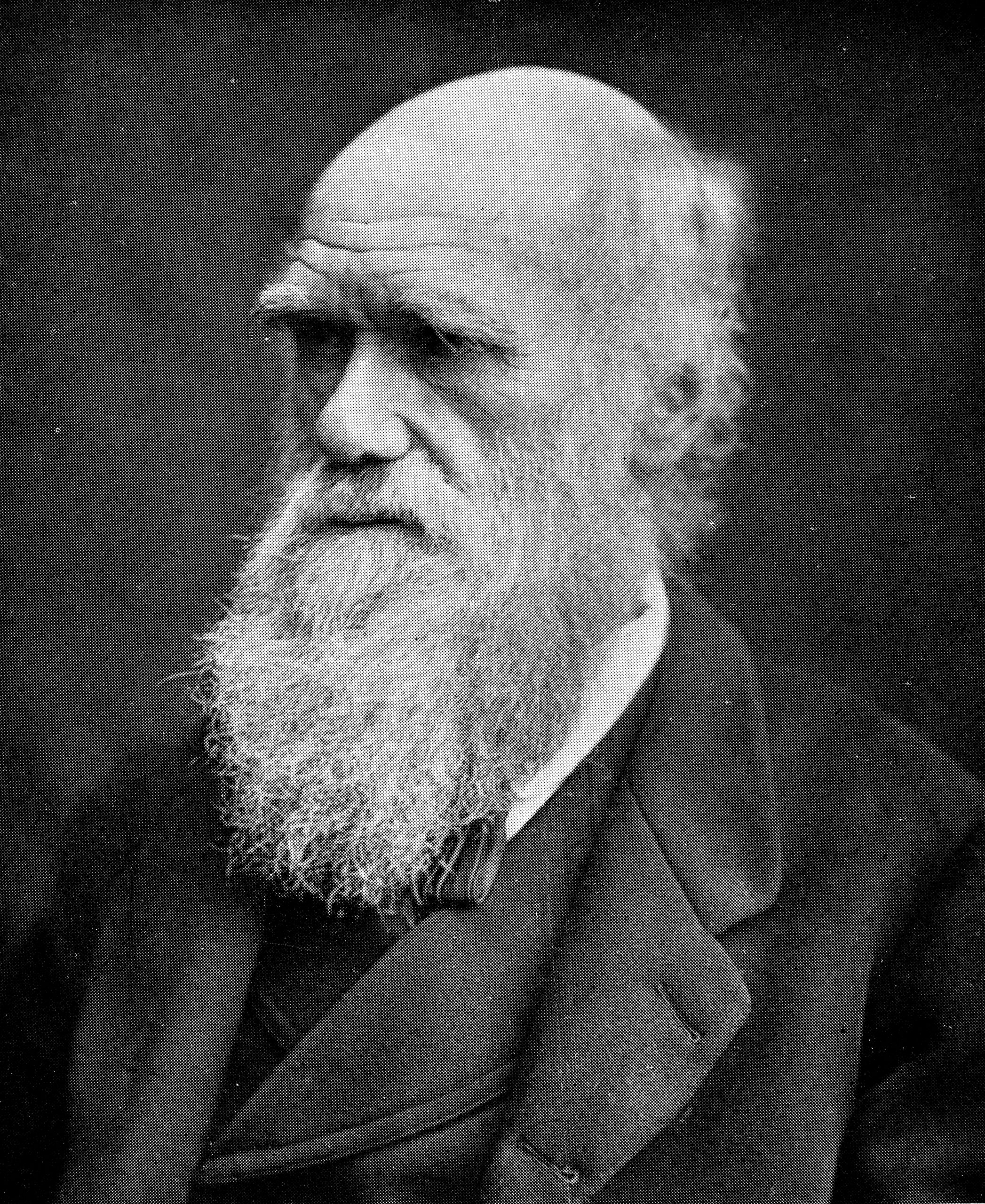 A photograph of Charles Darwin by Julia Margaret Cameron, from 1868